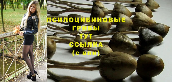 ешки Краснотурьинск