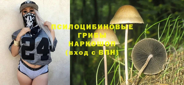 гидропоника Краснослободск