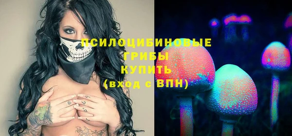 гидропоника Краснослободск