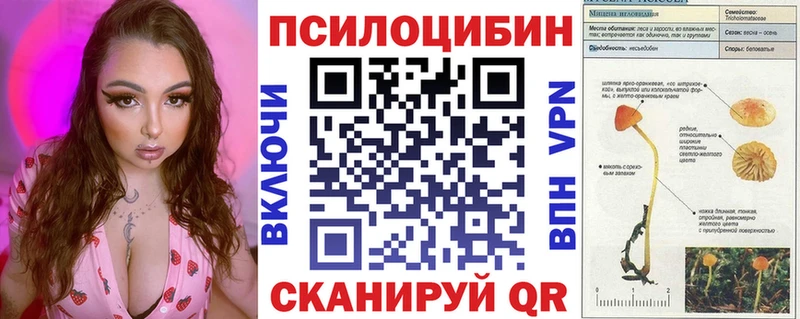 Купить где  Большой Камень  Псилоцибиновые грибы мицелий 