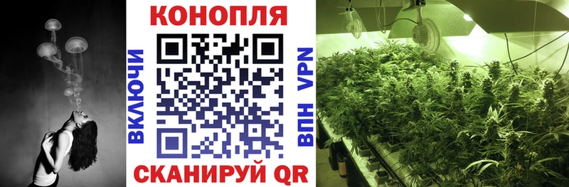 МАРИХУАНА сатива  Купить закладки  Большой Камень 